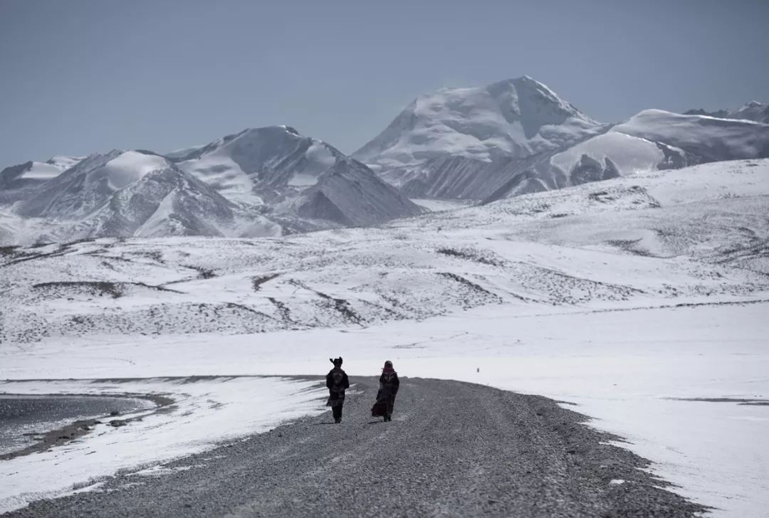 封面配图 | 《冈仁波齐》