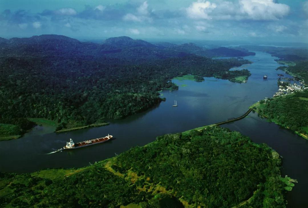 华人|巴拿马|干妈_新浪新闻