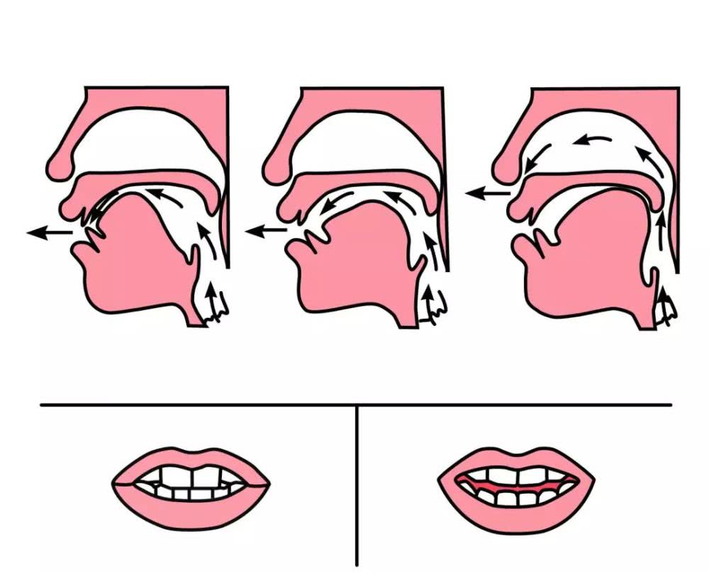 一年級漢語拼音:前後鼻音發音技巧|發音|鼻音|舌位_新浪新聞