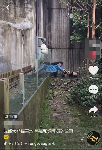 抖音里的城市营销战争