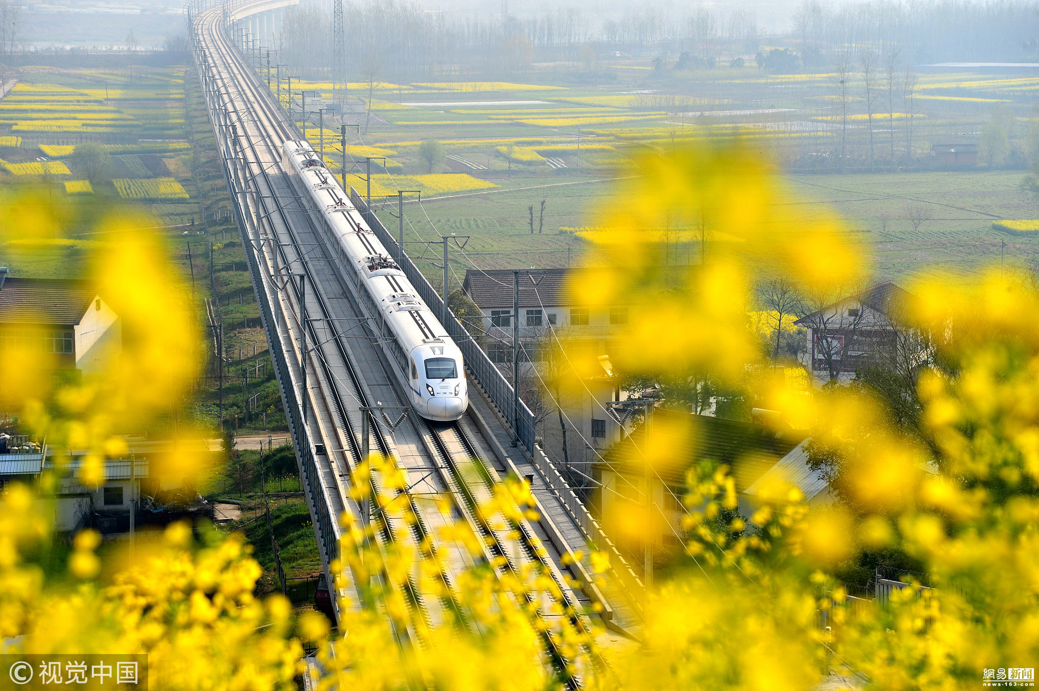 陕西汉中油菜花竞相开放 高铁列车穿行其中