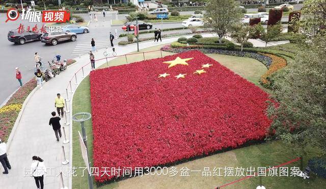 鼓楼广场3000盆花卉拼出巨幅国旗