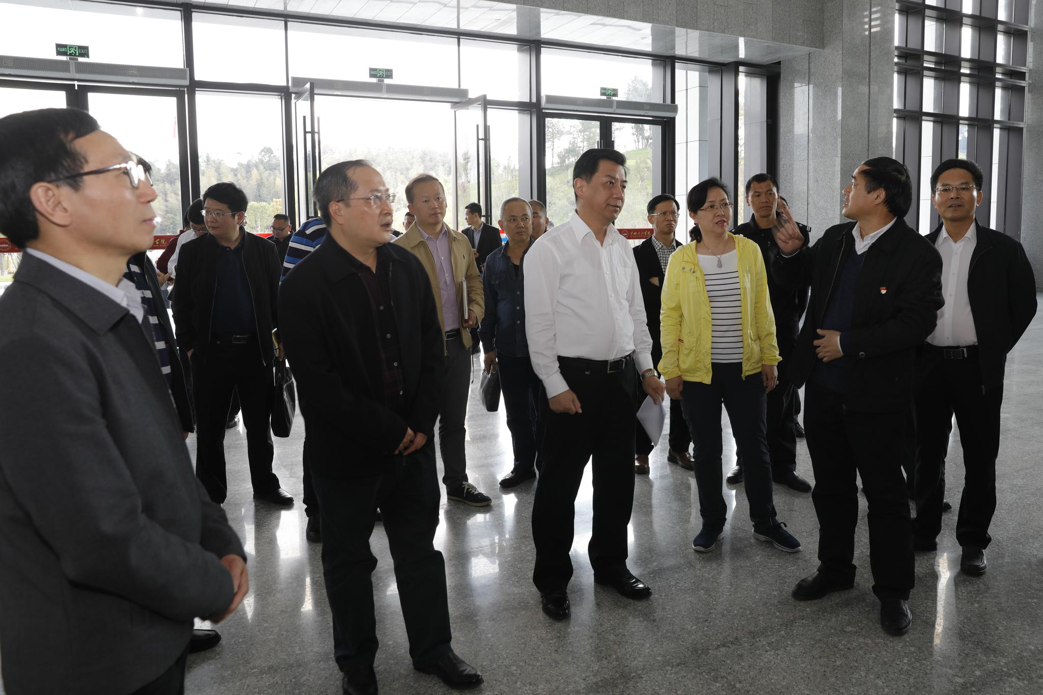 3月27日下午,龙岩市常务副市长王龙率调研组一行莅临现场视察指导