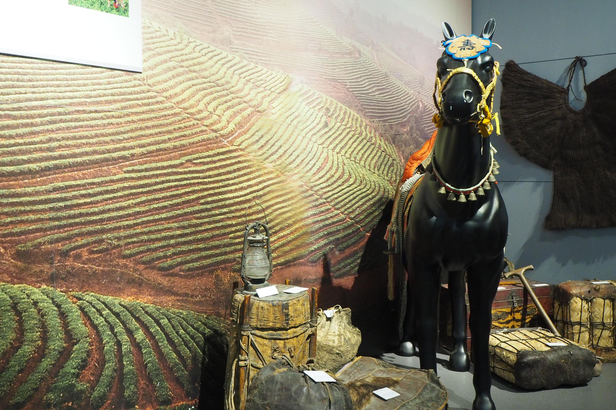 展讯丨国内规模最大“茶马古道”展亮相宁波原创热点品牌栏目浙江视界每日关注|茶马古道|浙江|宁波_新浪新闻