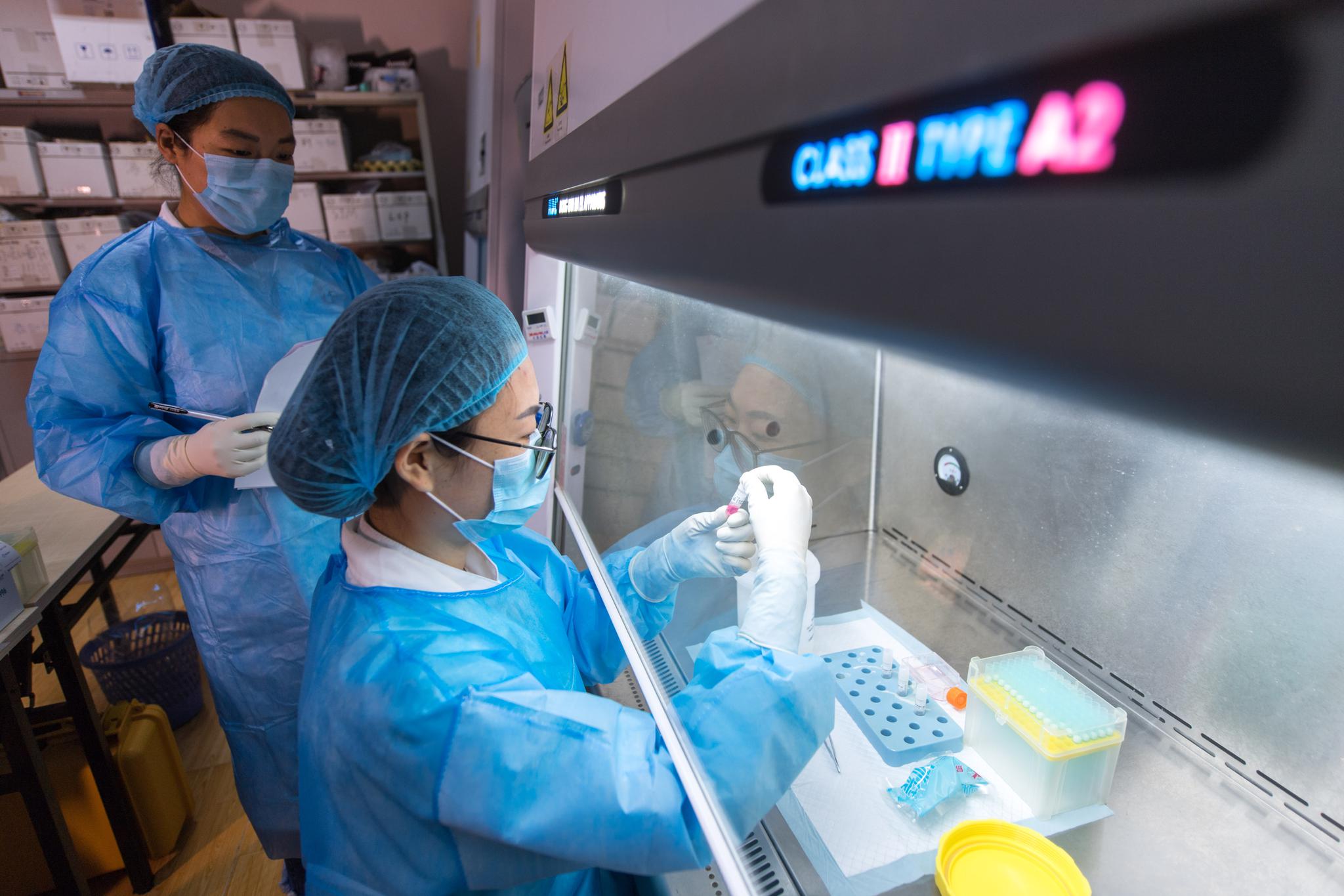 中科院武汉病毒研究所微生物菌毒种保藏中心的工作人员在进行实验准备