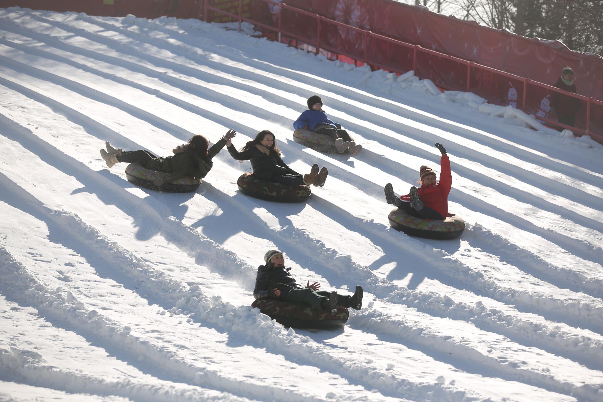 玉渊潭公园迎冰雪季首次实现南赏花北戏雪
