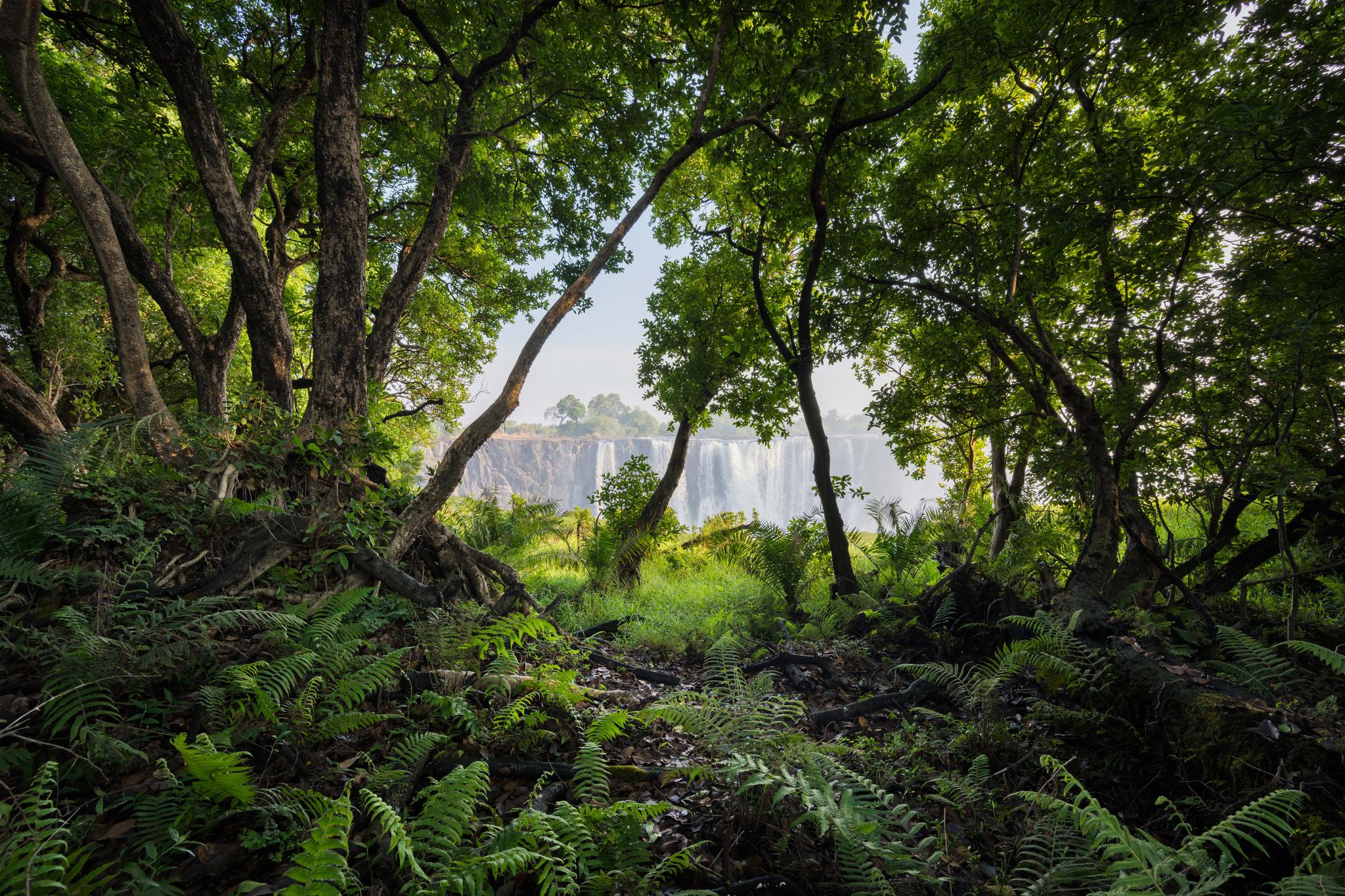 z卡口首支超广变焦镜头 尼康z 14-30mm f/4 s实拍样片图赏