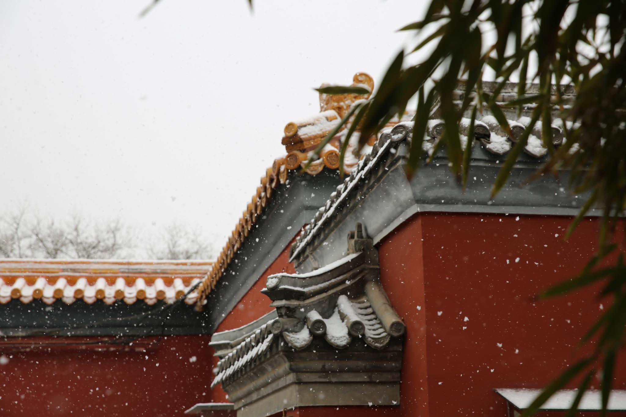 寿皇殿景区,雪中的红墙更显古韵.景山公园供图