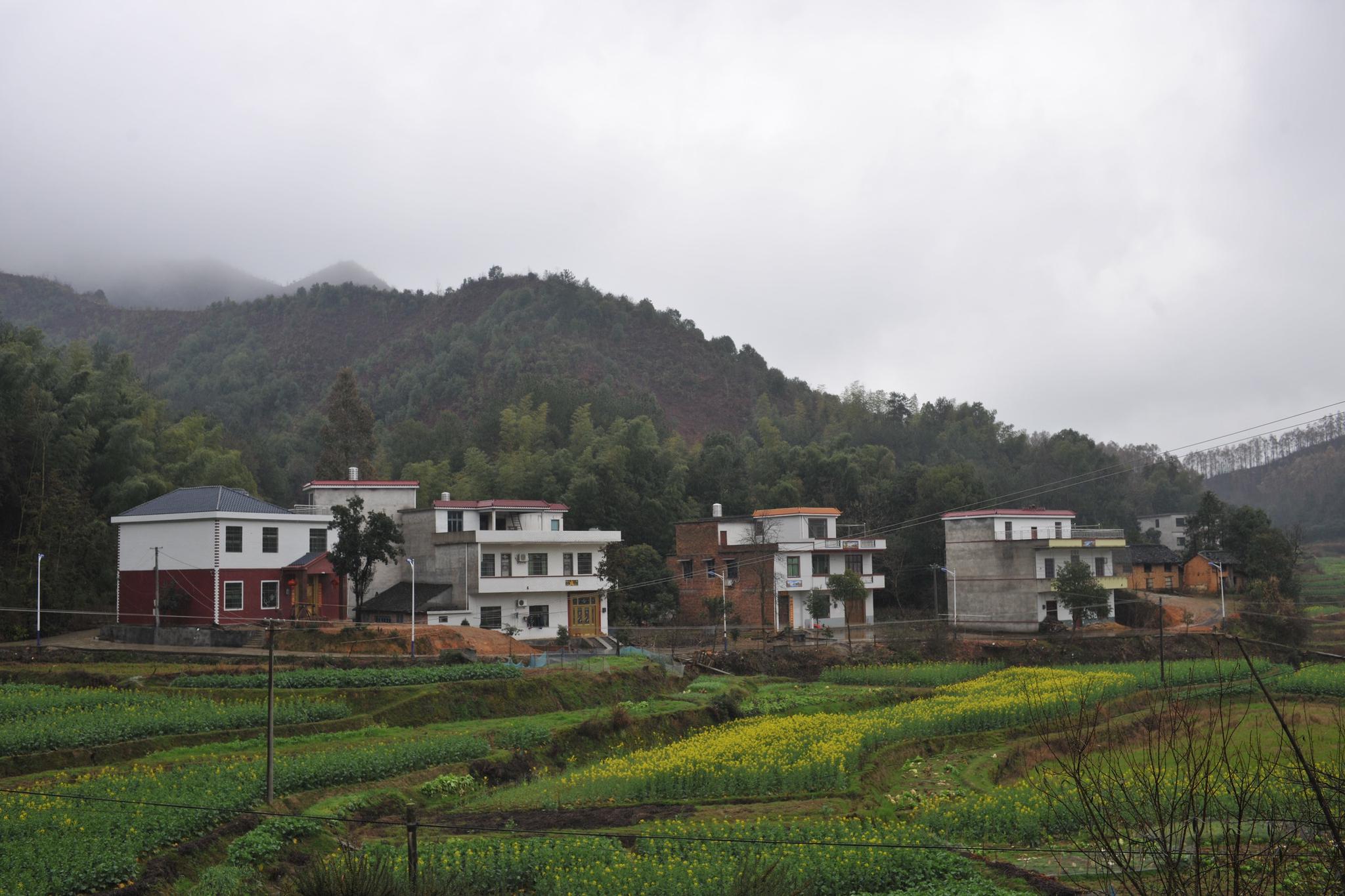 　2019年3月5日，“鸿翔部队”曾经在1945年空降后驻扎的牧云寺如今已建成村民的新居。新京报记者 吴江 摄