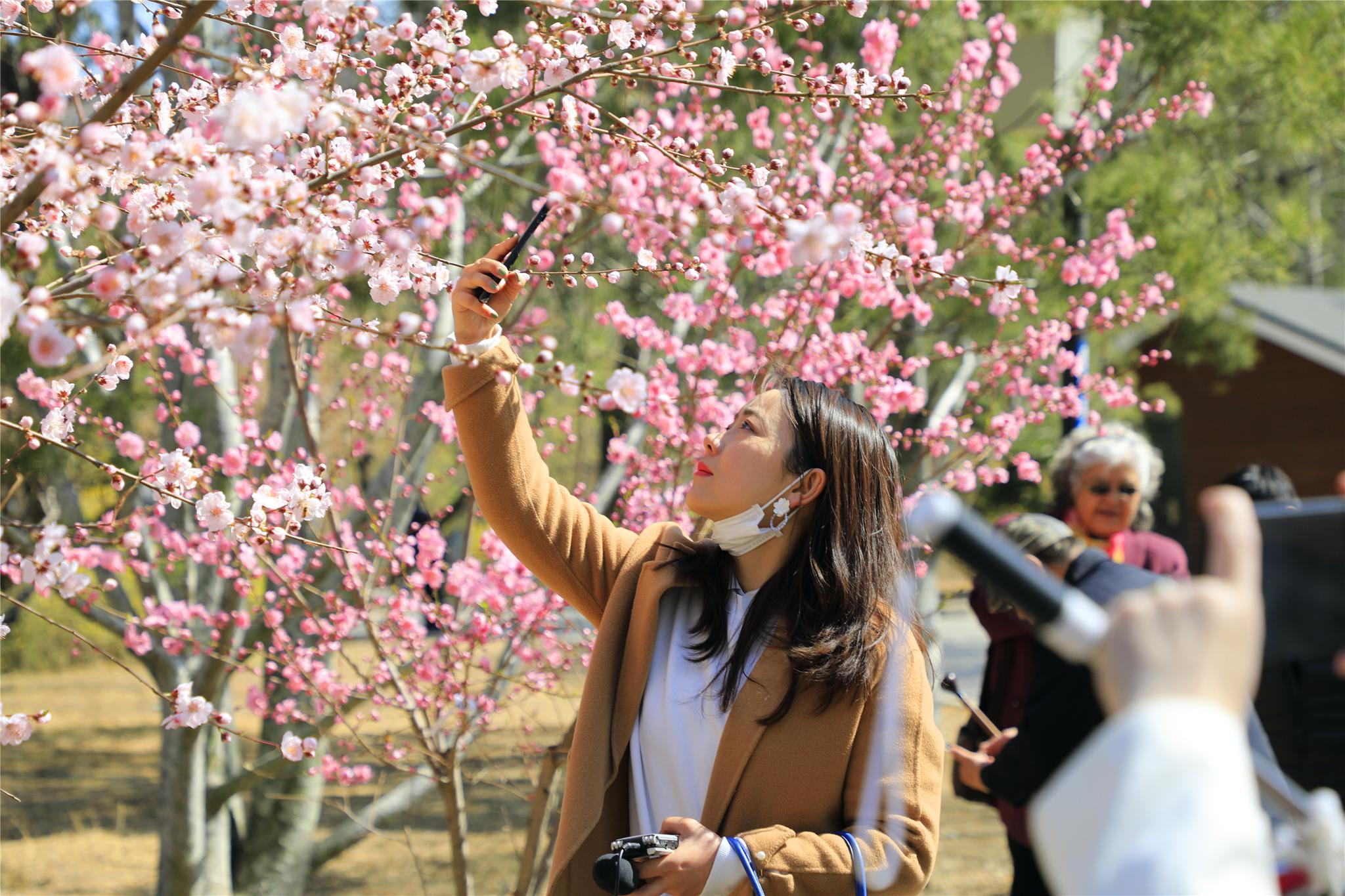 北京植物园"网红"景点亮相,邀你"雾里看花"