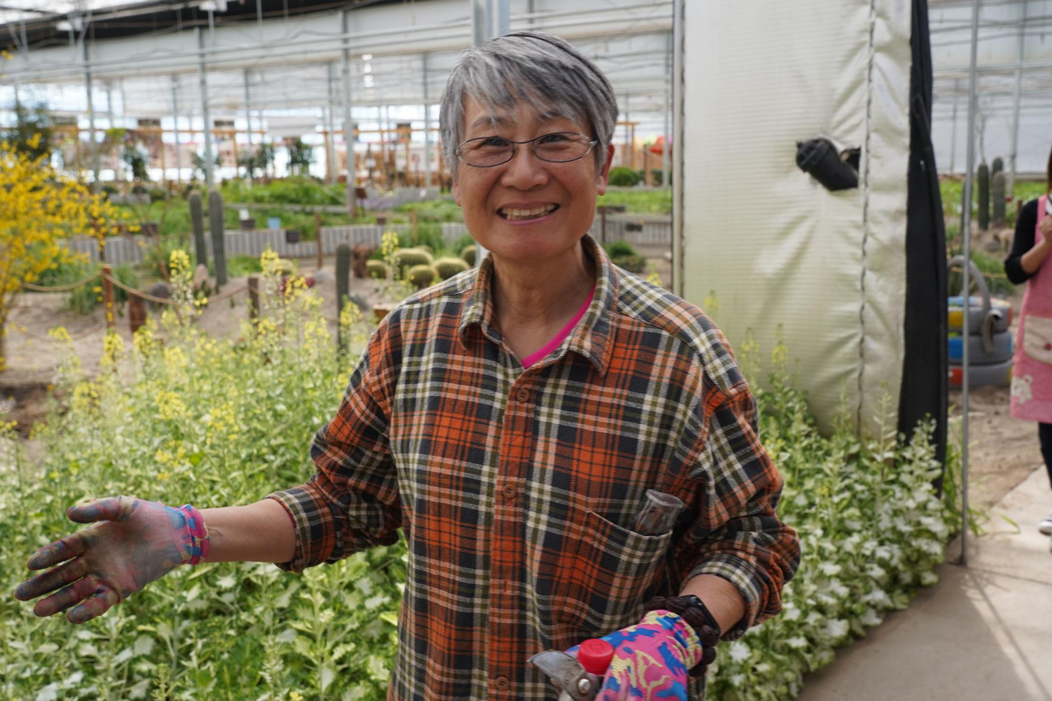 京郊有个 百草园 你知道九死还魂草是什么草吗