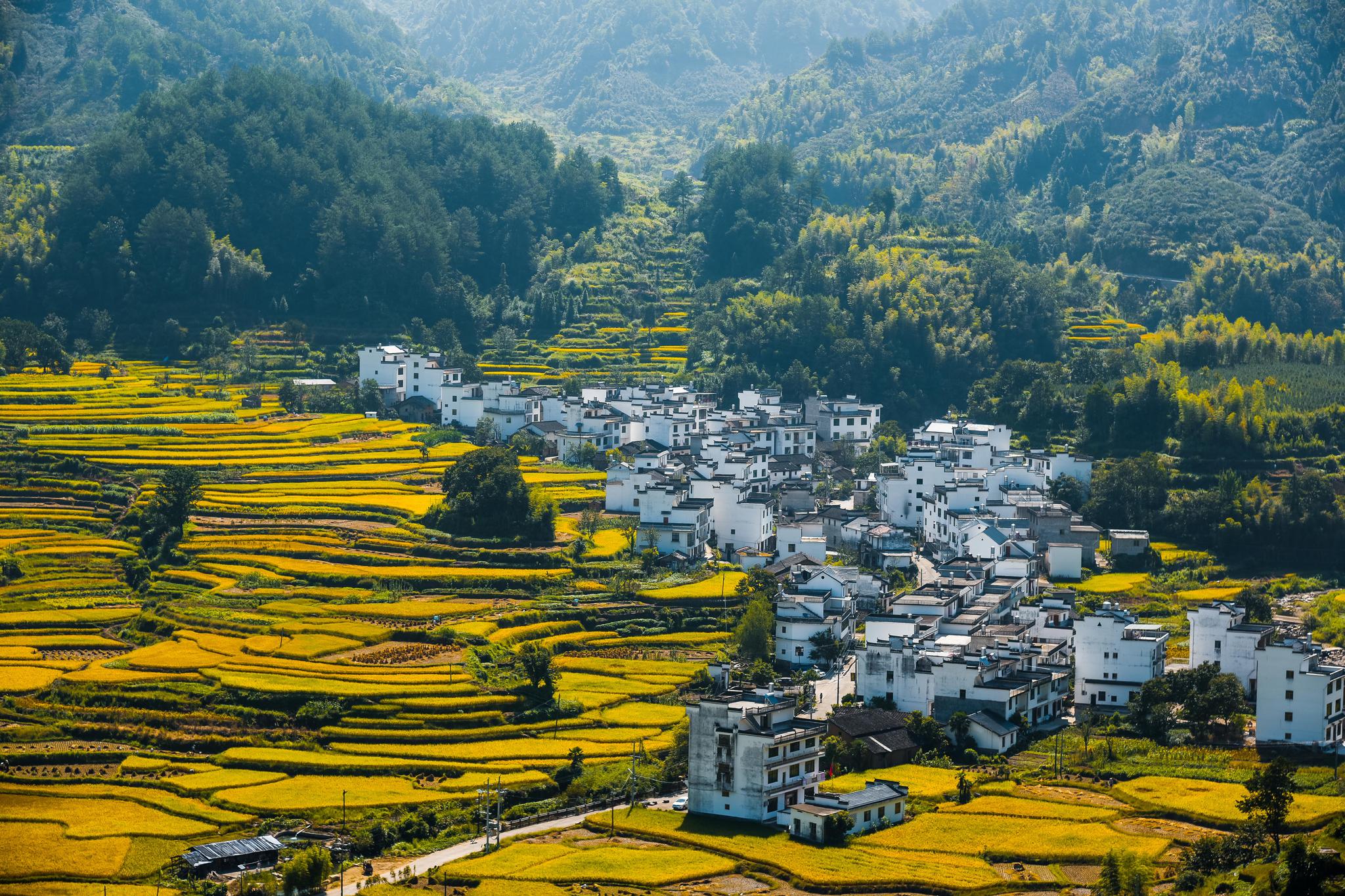 江西婺源篁岭为期三个月的晒秋节大幕拉开