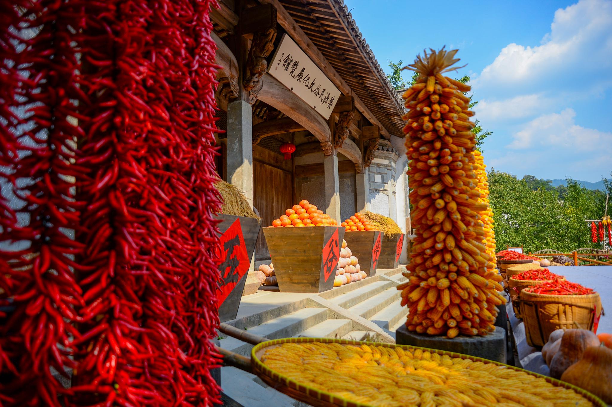 江西婺源篁岭为期三个月的晒秋节大幕拉开