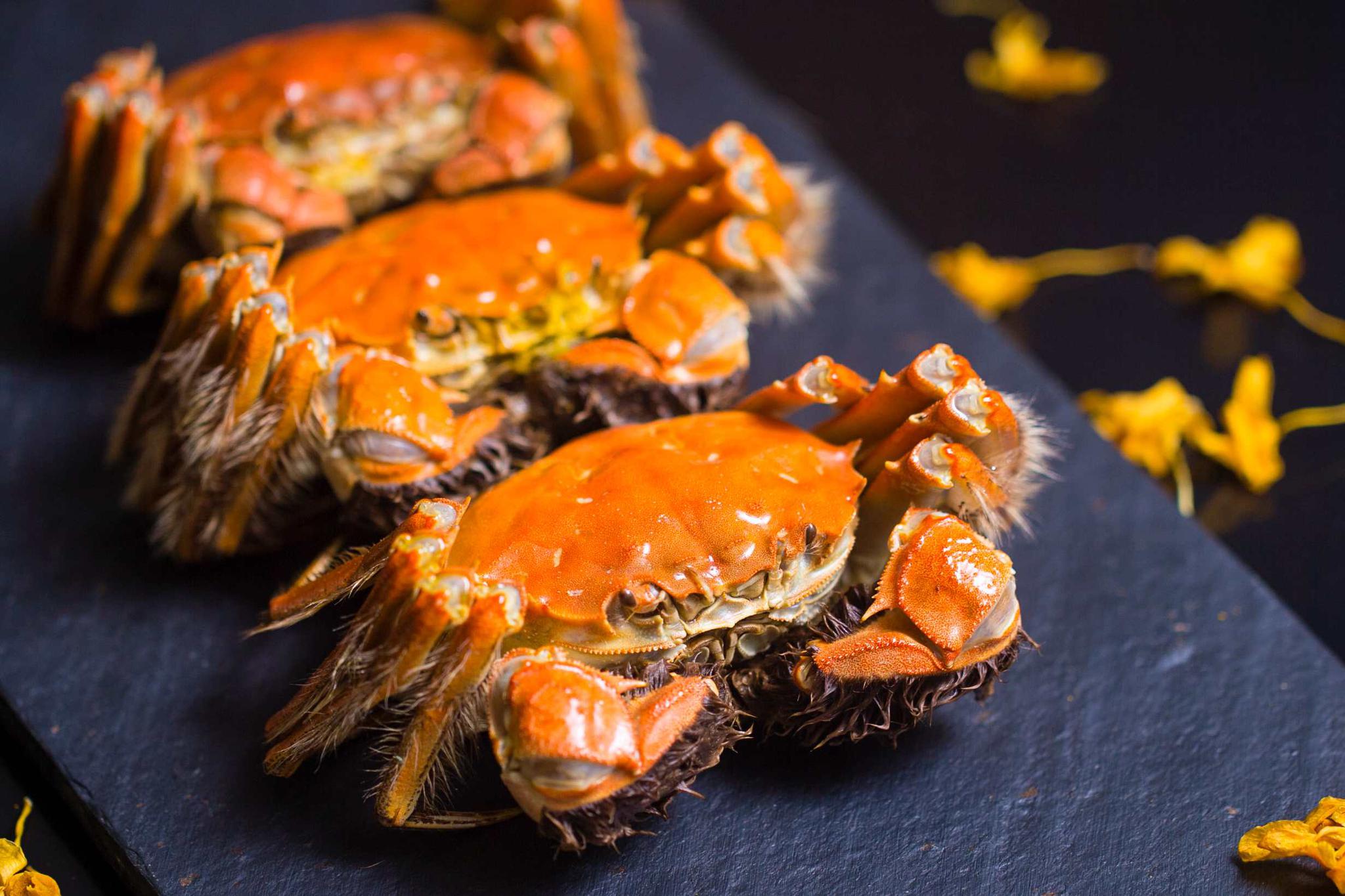 多穿件衣服,在家门口吃蟹吧!