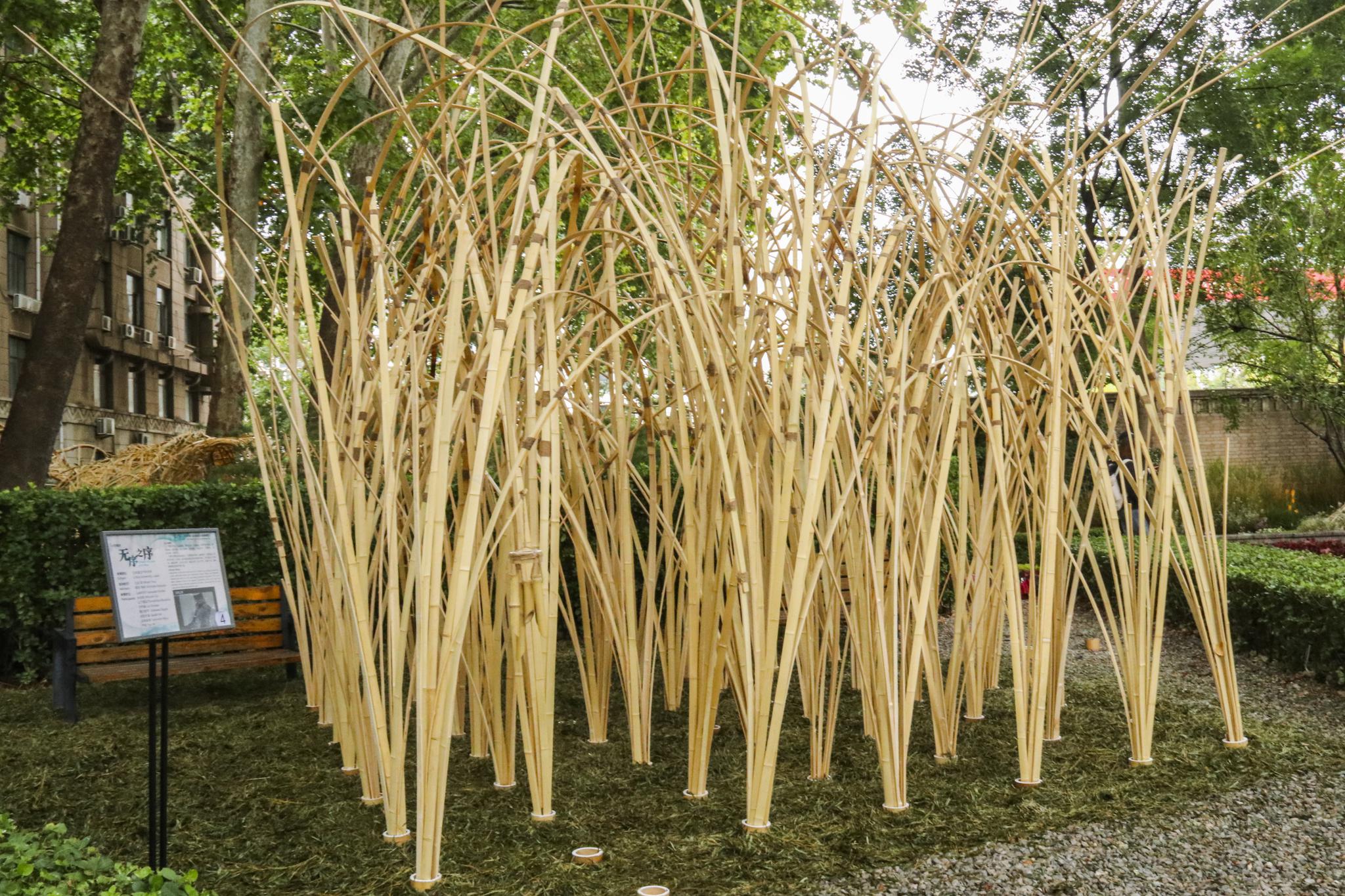 北林举办国际花园建造节,学生造竹木“黑洞”在喧嚣中求宁静__财经头条