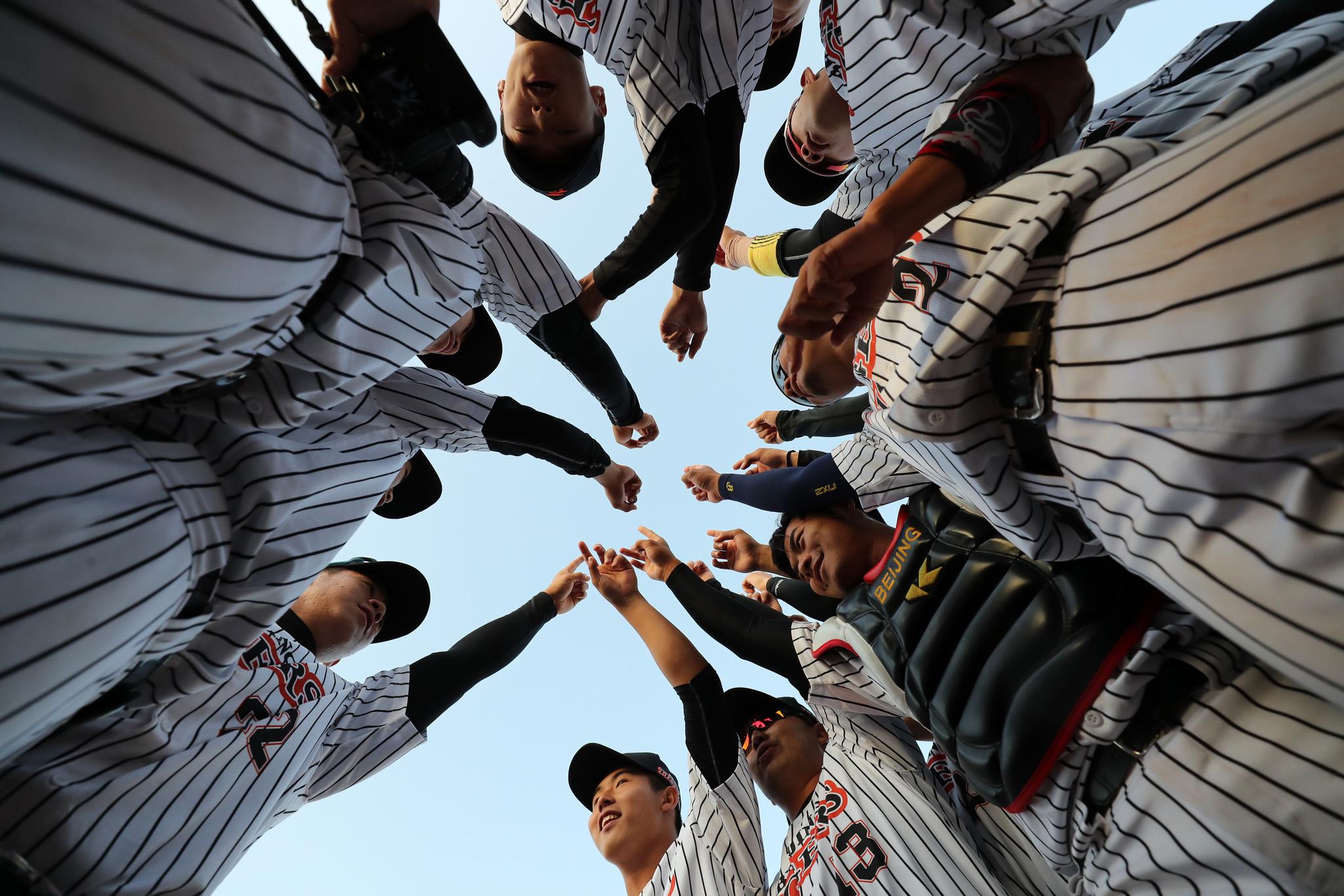 棒球中职棒总决赛北京猛虎夺冠