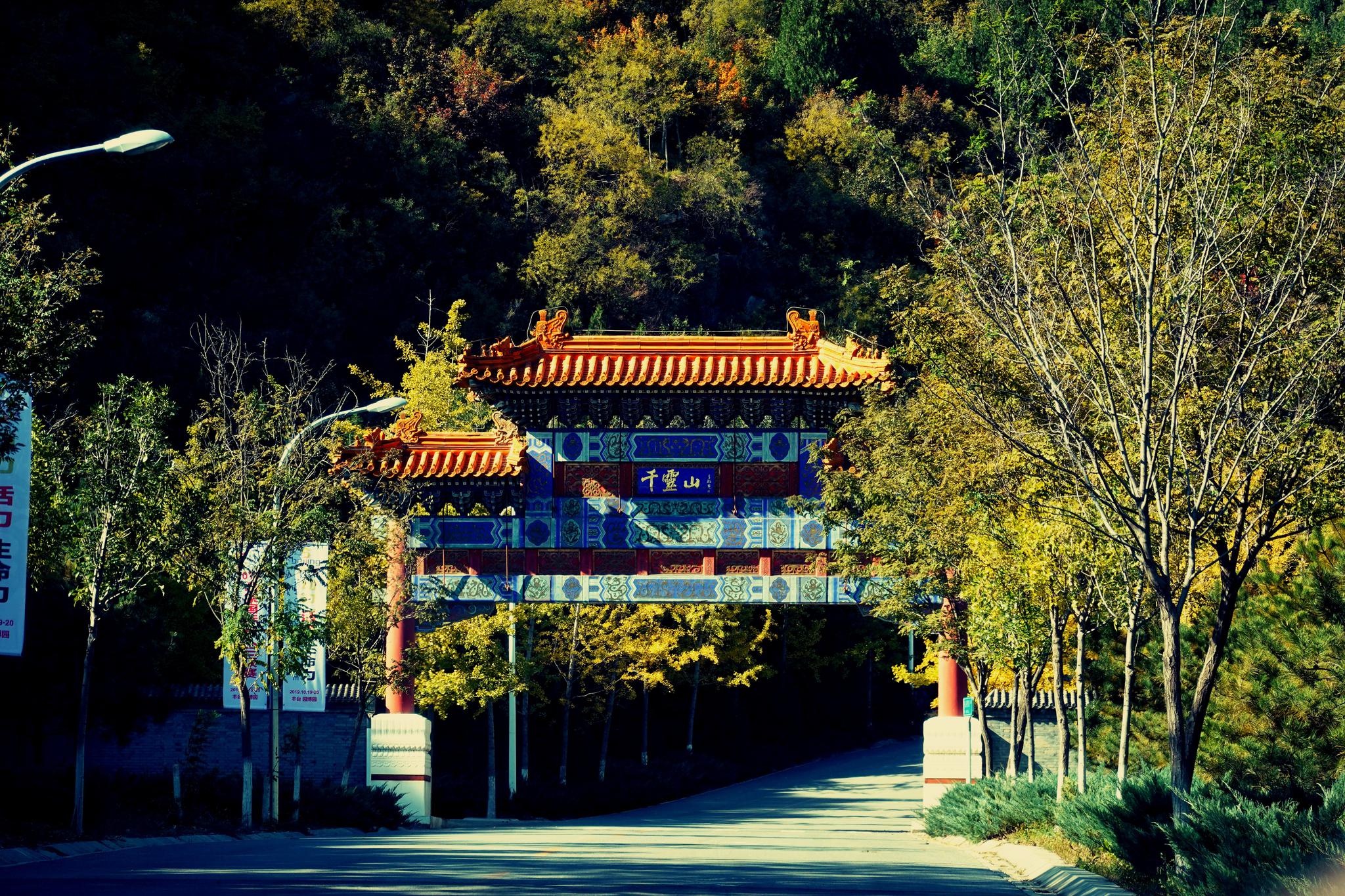 京西好去处千灵山本周进入赏红叶最佳时期