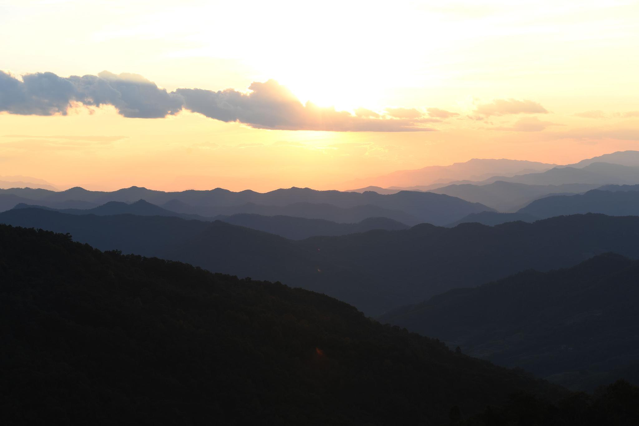 云南宁洱:困鹿山茶园景色秀丽