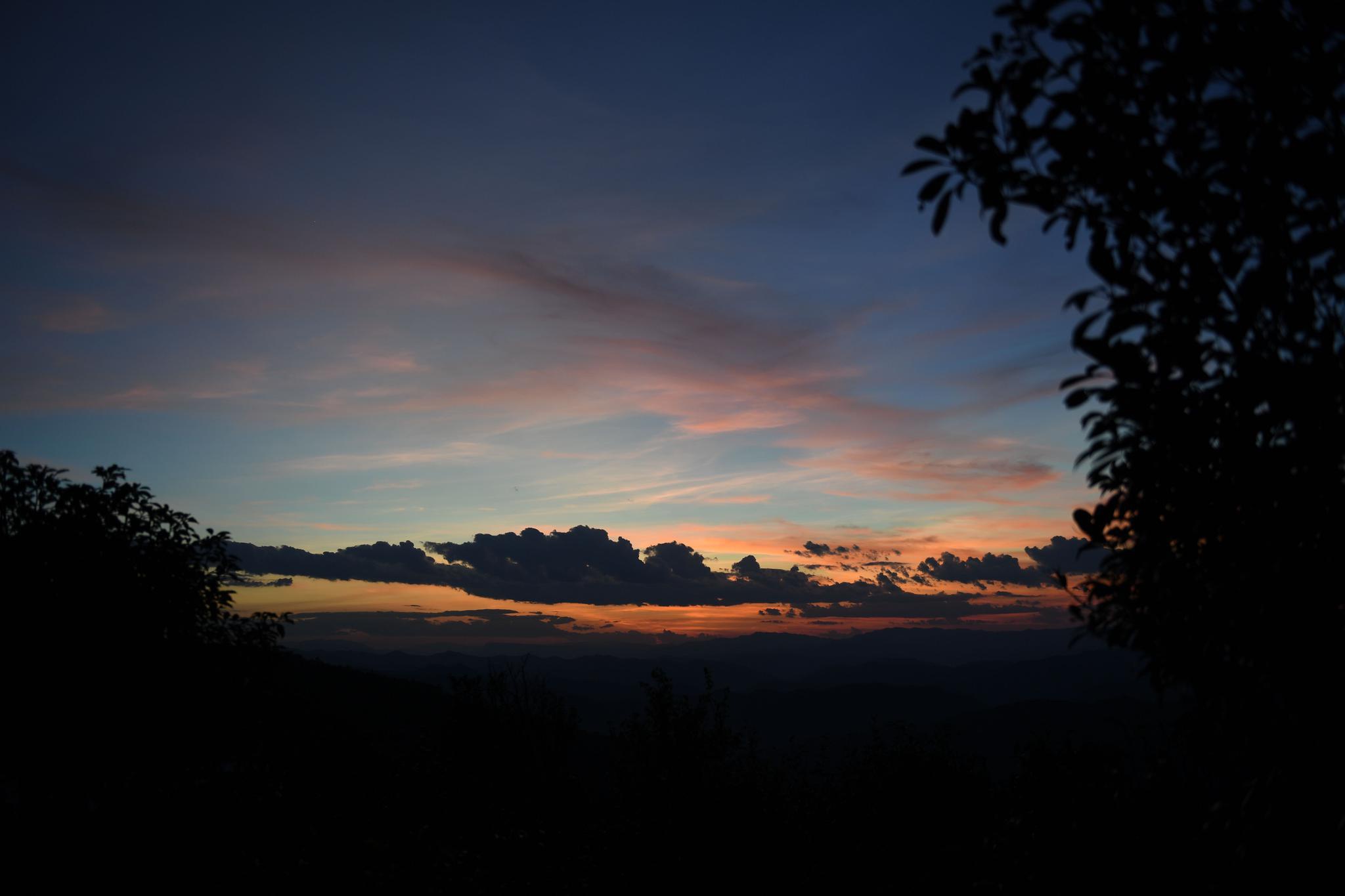 云南宁洱:困鹿山茶园景色秀丽