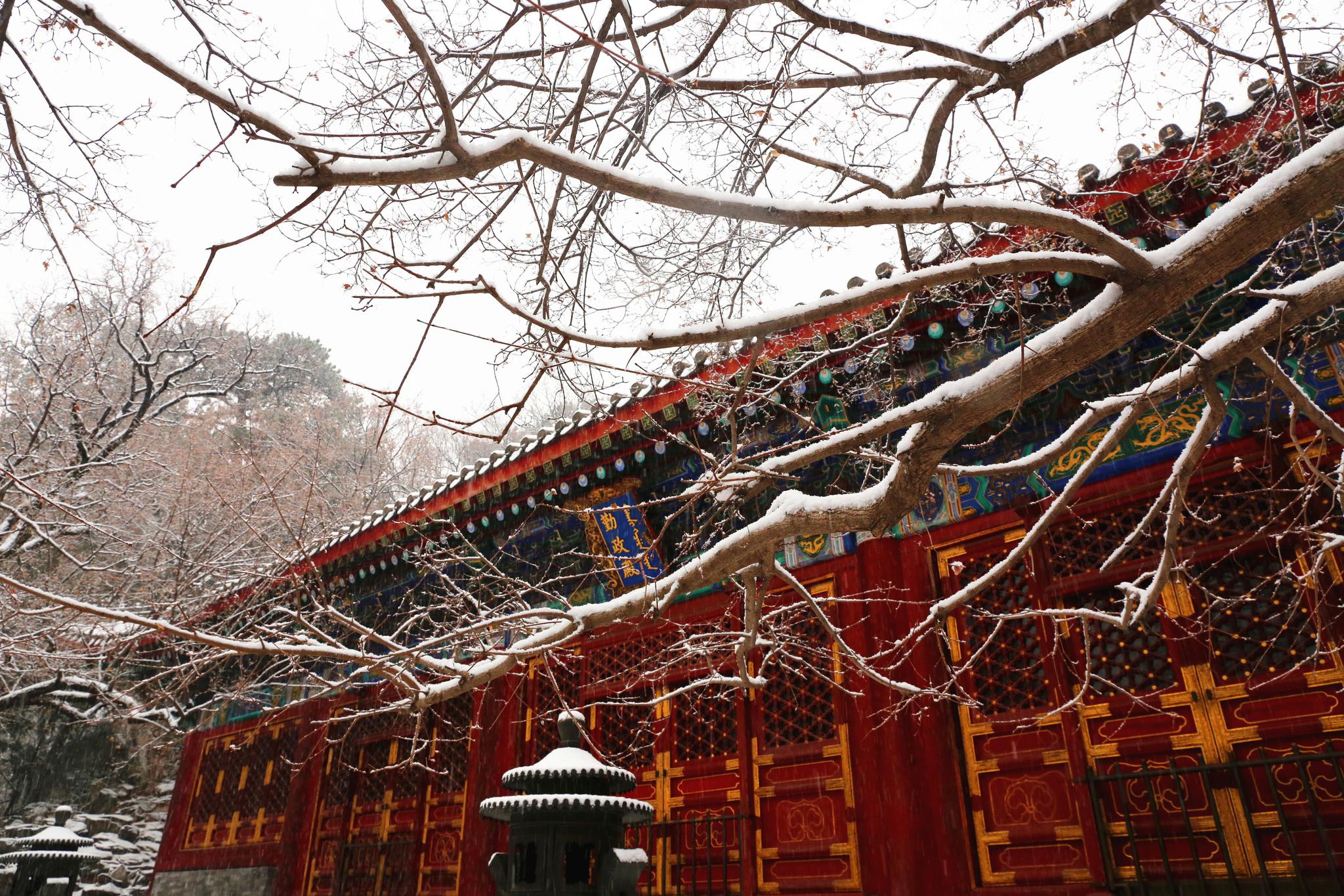 【携程攻略】北京卧佛寺景点,位于北京植物园的卧佛寺，冬季每天9点接待香客进香，恰逢丁酉春节，…