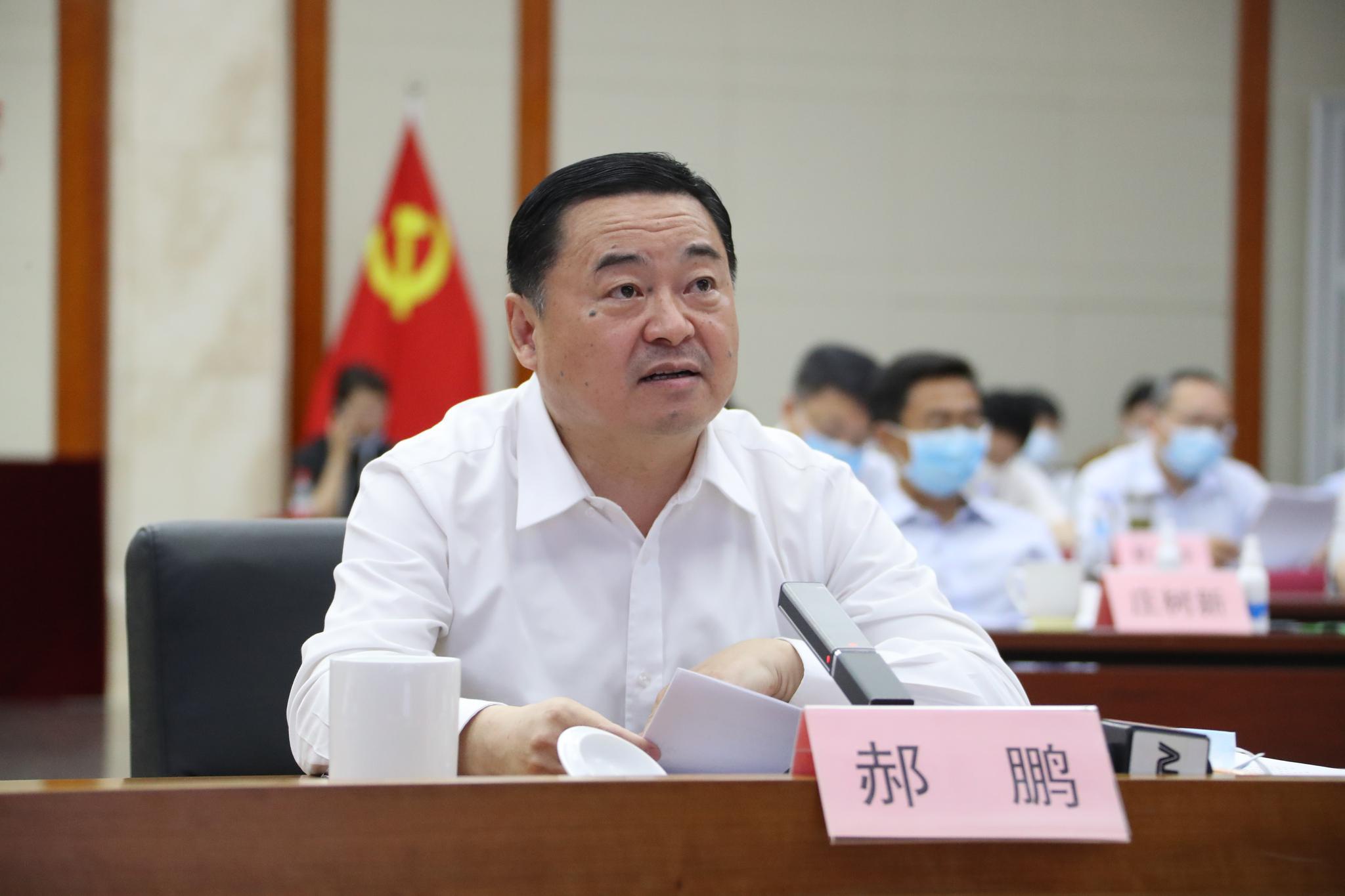 郝鹏为湖北疫后重振作出国资央企更大贡献