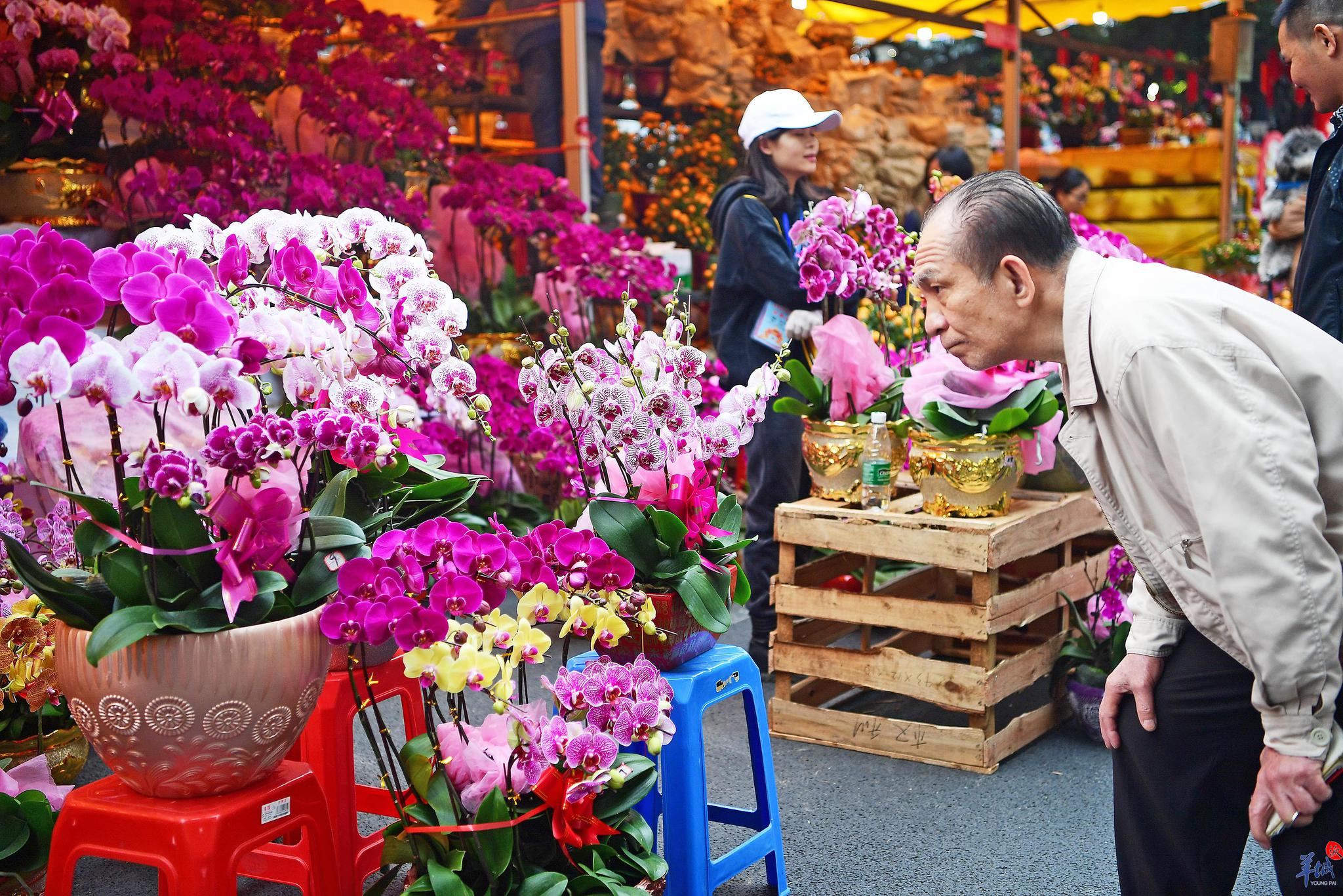 海珠花市便又靓,来逛逛吧!