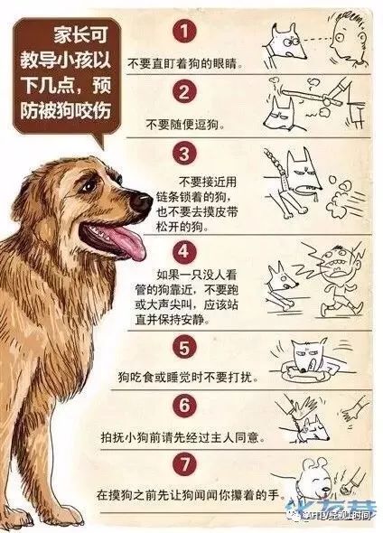 东莞一小区"恶狗"狂扑小孩,监控拍下现场