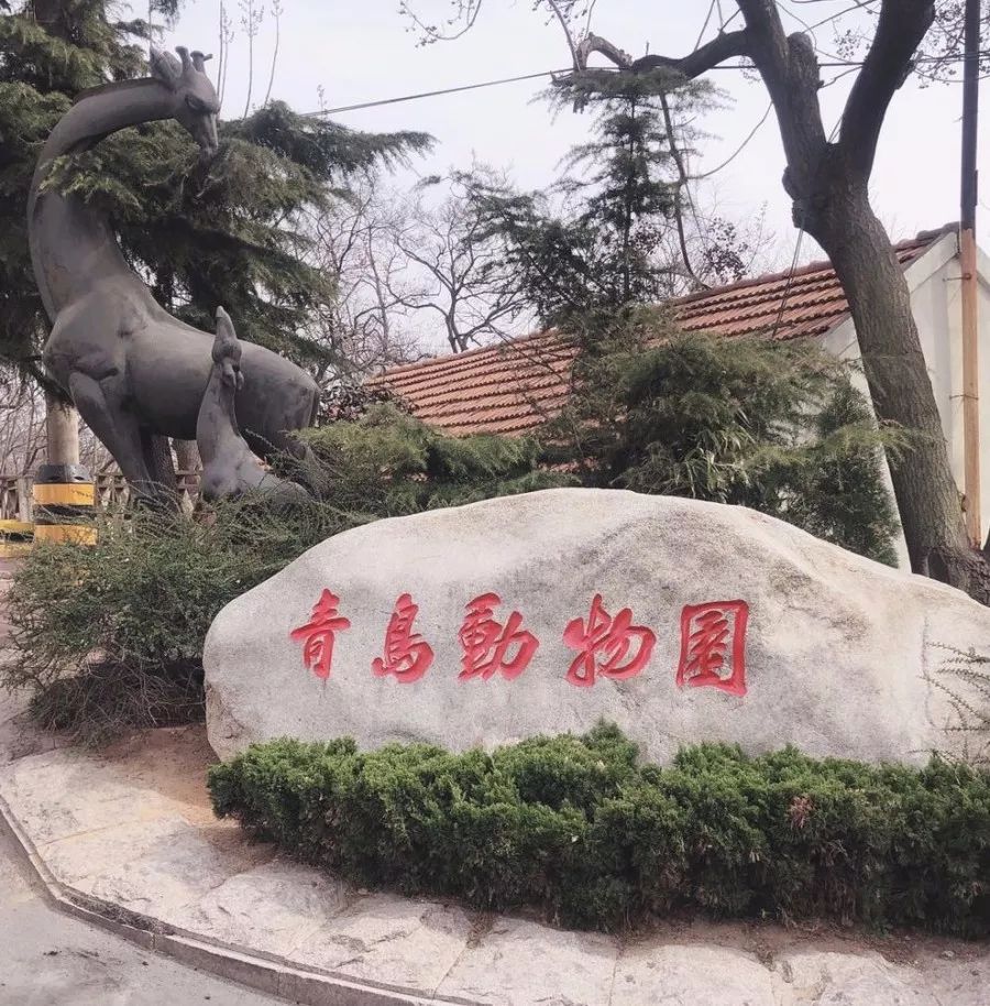 最新实拍!青岛动物园,和你记忆中的一样吗?