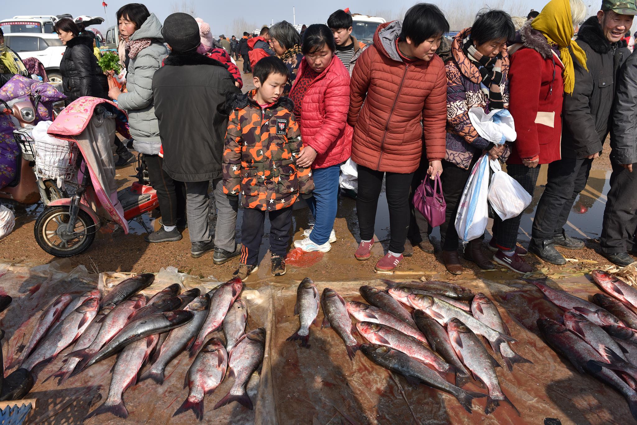 航拍山东万人赶年集,人潮涌动堪比春运|赶集|印刷|年集_新浪新闻