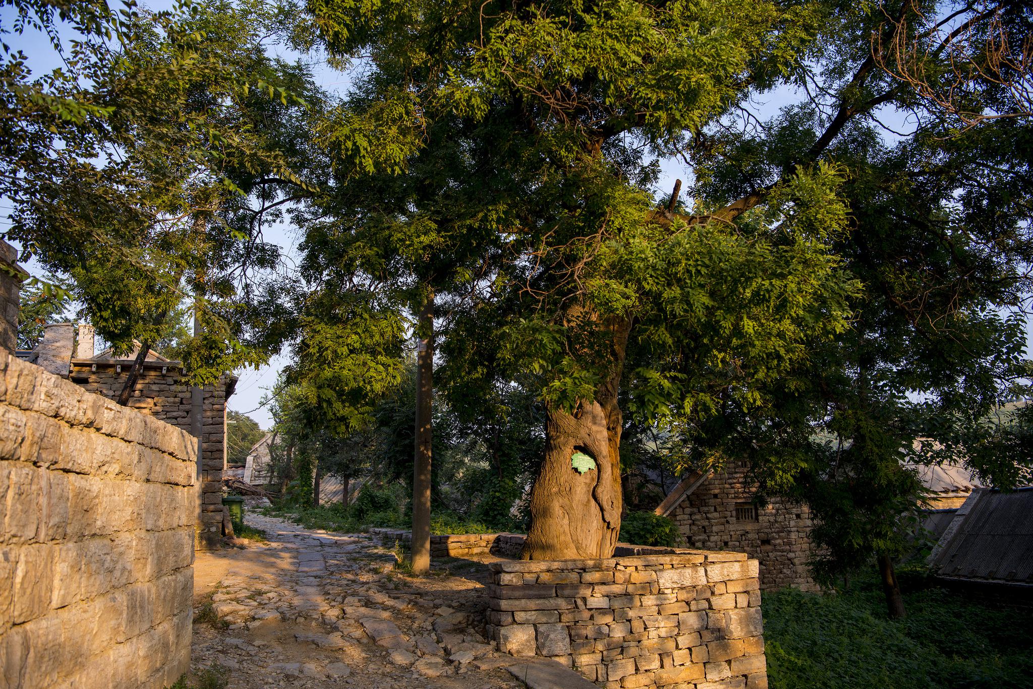 老靳行色|济南的古村落,我拿什么守住最后的乡愁