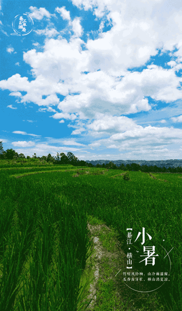 綦江美物 | 清风徐,小暑綦江,横山纳凉