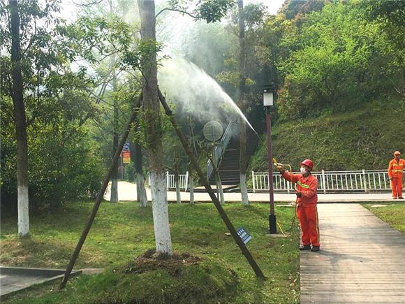 梁平区园林绿化管理所采取有效措施防治病虫害