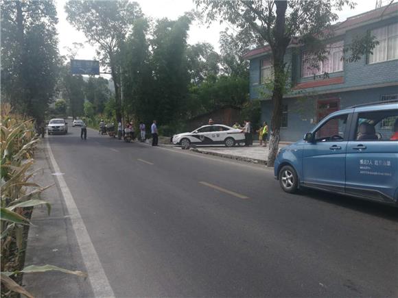 "重庆市武陵区白马片区联合执法队正在长坝镇鹅冠村设卡定点检查过往