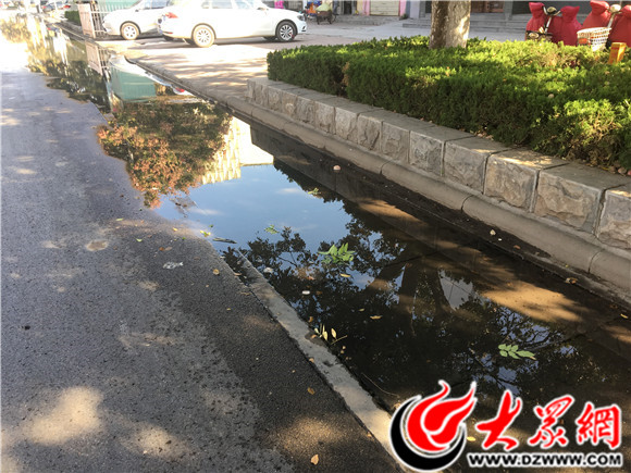菏泽一路面积水数日 市公路局已处理