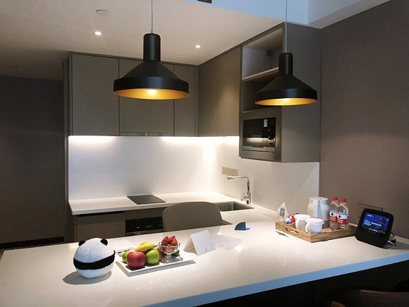 【首席体验馆】成都象南里凯悦嘉轩嘉寓酒店,