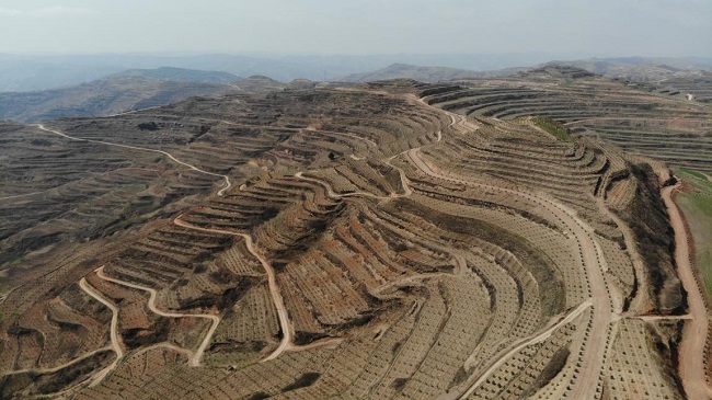 百万亩梯田百万亩绿——庄浪县的绿色崛起