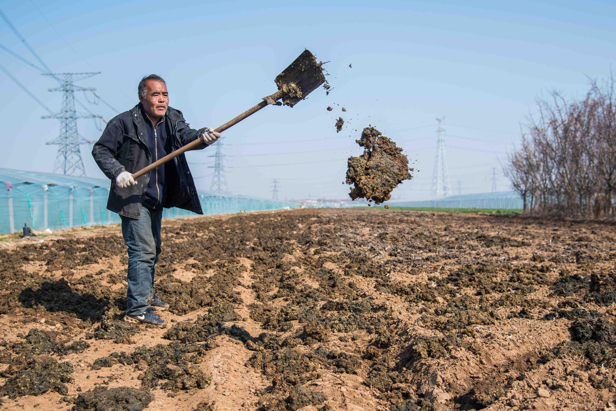 惊蛰各地农事忙