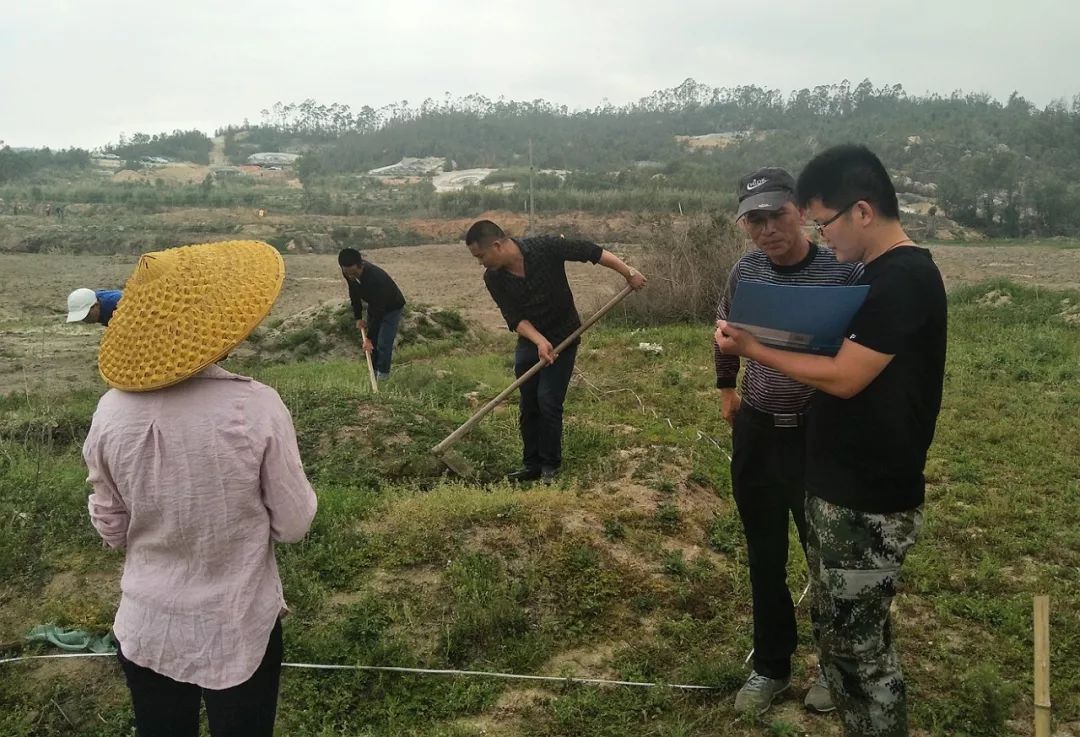 石井打响泉州重大项目坟墓迁移攻坚第一枪