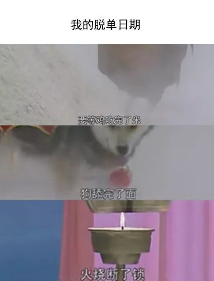 你2018年的计划实现没网友今年学会的乐器退堂鼓