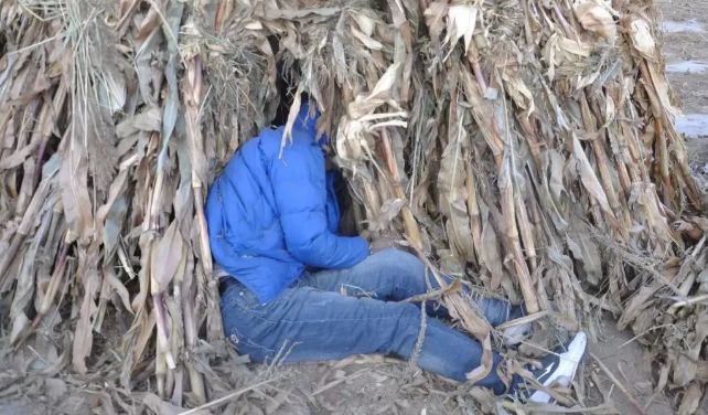 一周宁夏丨西吉男子离奇殒命,玉米地中男尸到底是谁?