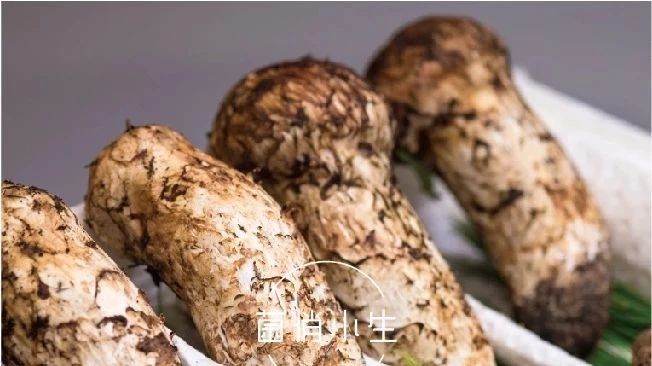 福利+惊喜︱又到不可辜负的松茸季!|云南|松茸|小生_新浪新闻
