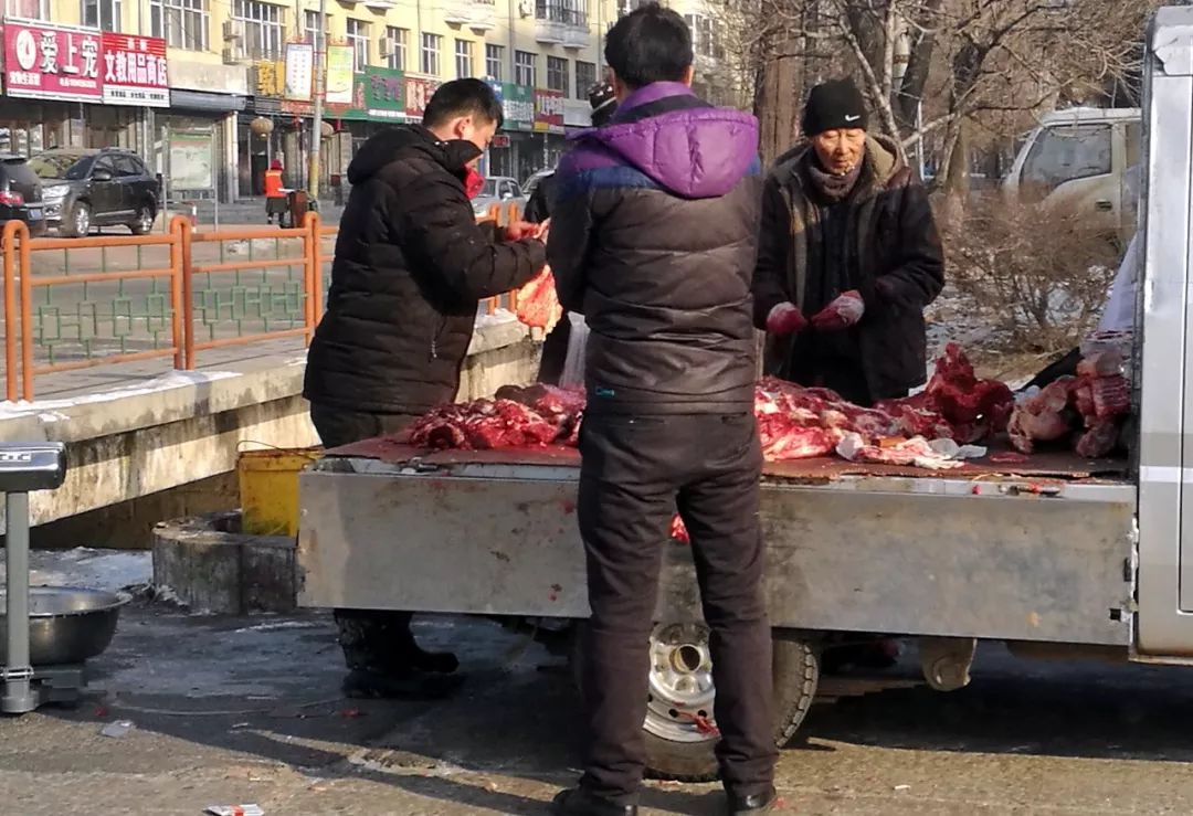 沙漠骆驼在哈尔滨被当街宰杀不远处的城管执法车视而不见