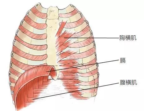 3个核心姿势帮你轻松做到!