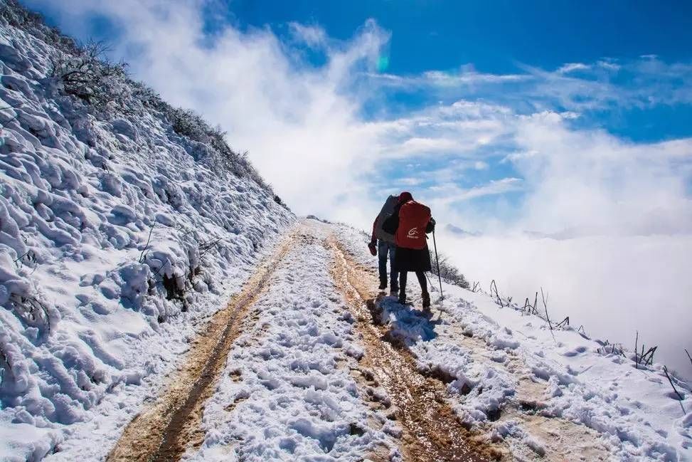 华山栈道男子跳崖驴友请不要再借着户外的名义自杀了