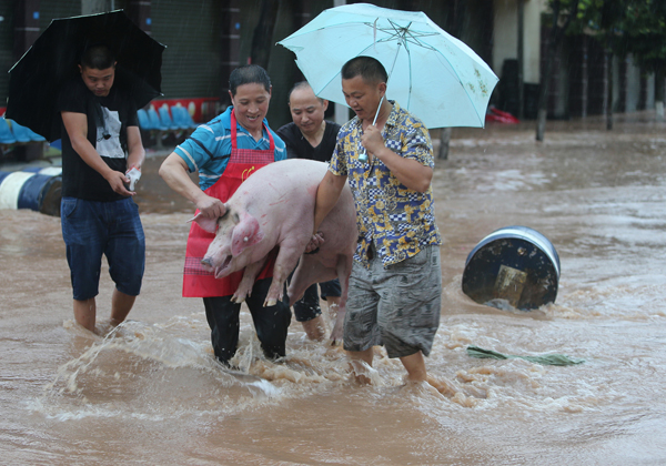 洪水漫过街道,风雨中,警察帮着养殖户涉水将猪转移到安全区域