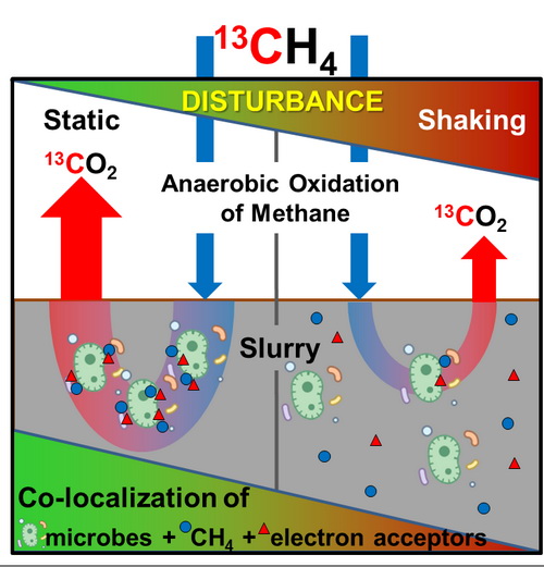 亚热带生态所等在水稻土甲烷厌氧氧化特征及研究方法方面获进展
