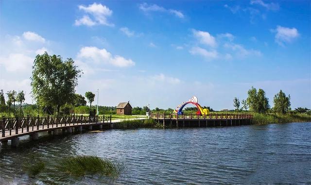 "桥"见好风光!洪泽湖湿地的桥个个风景独好,而你却不知道!