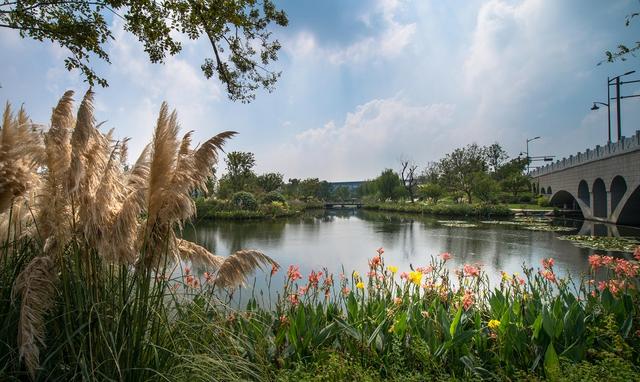 临平新城:高品质环境筑就城市"生态梦"