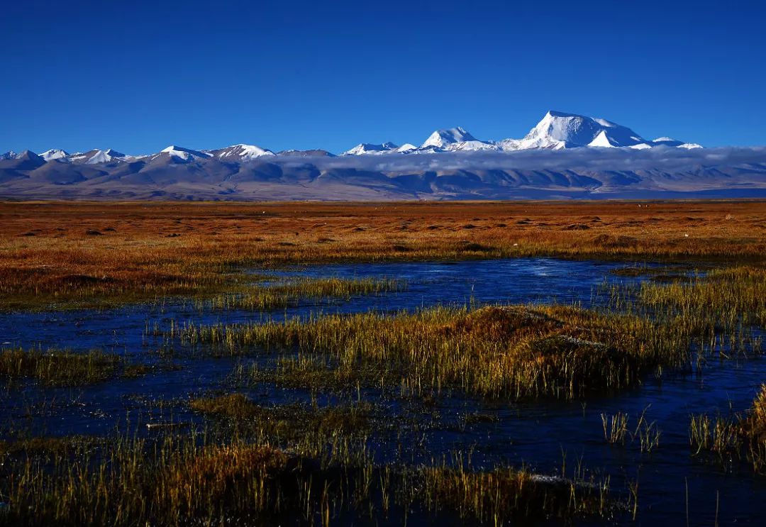 阿里图片 新浪网