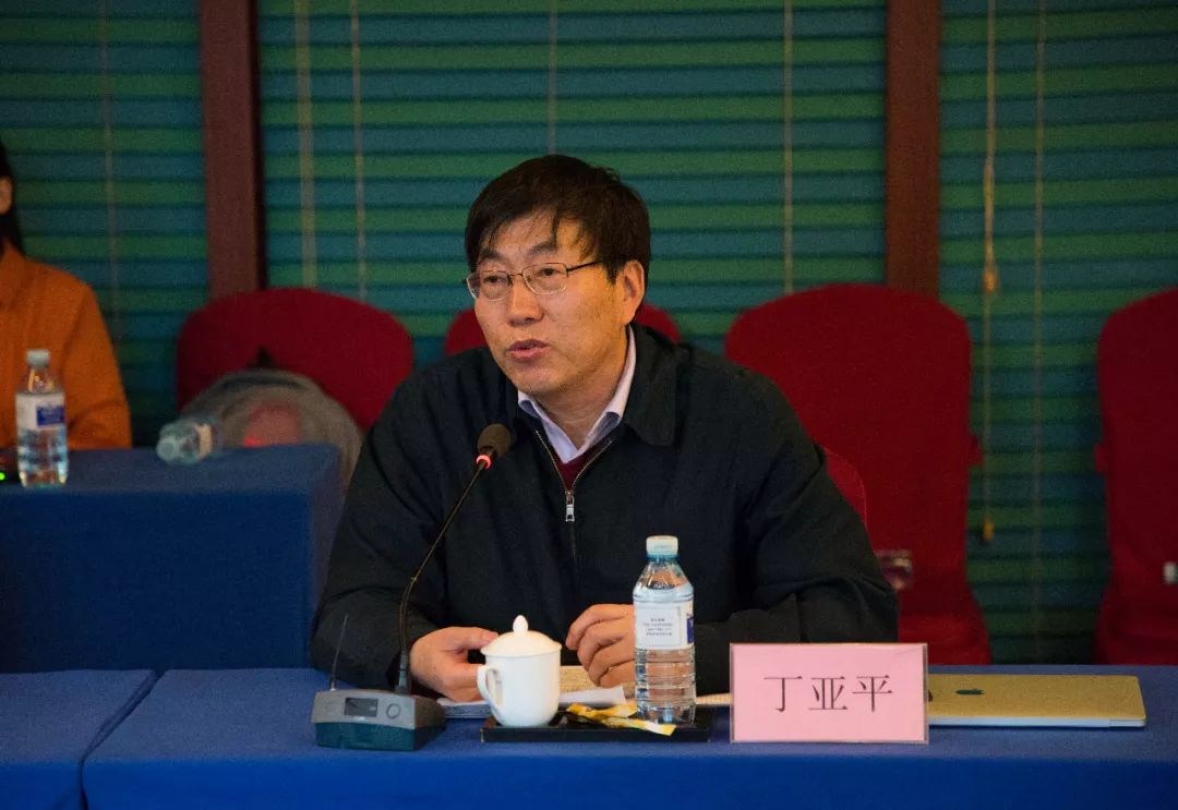 丁亚平继续了张颐武的话题,思考国产电影如何满足新时代人民群众